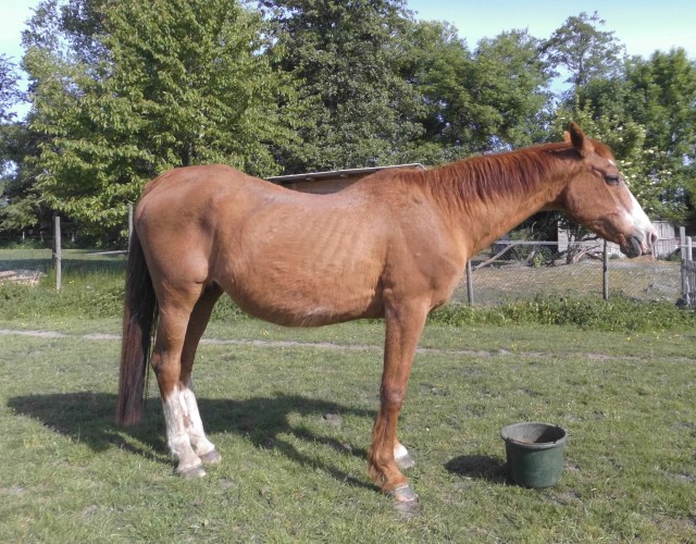 Miranda 31.05.2020 a