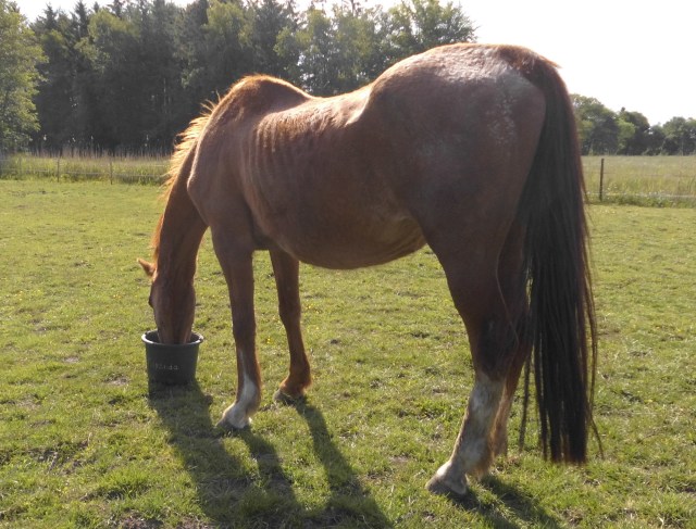 Miranda 31.05.2020 e