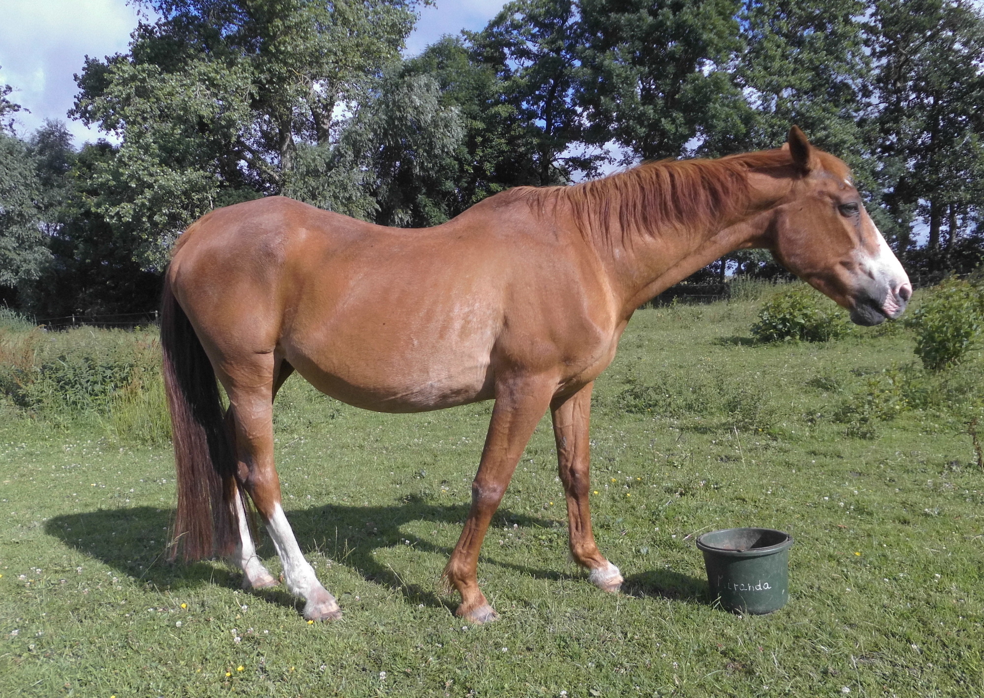 Miranda 11.07.2020 a