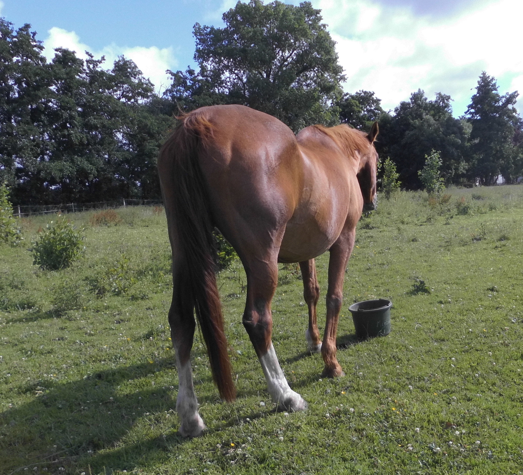 Miranda 11.07.2020 h