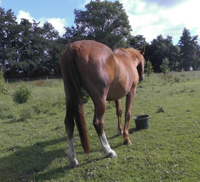 Miranda 11.07.2020 h