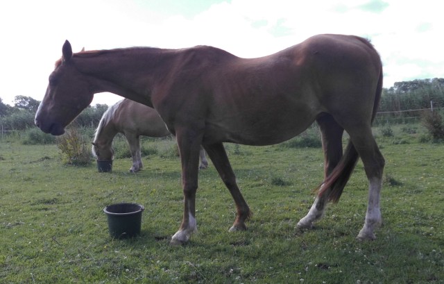 Miranda 11.07.2020 j