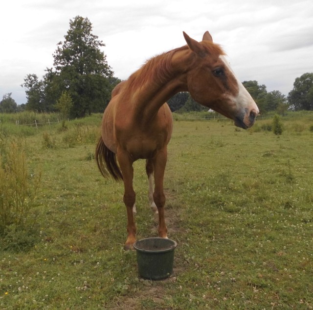 Miranda 28.06.2020 c