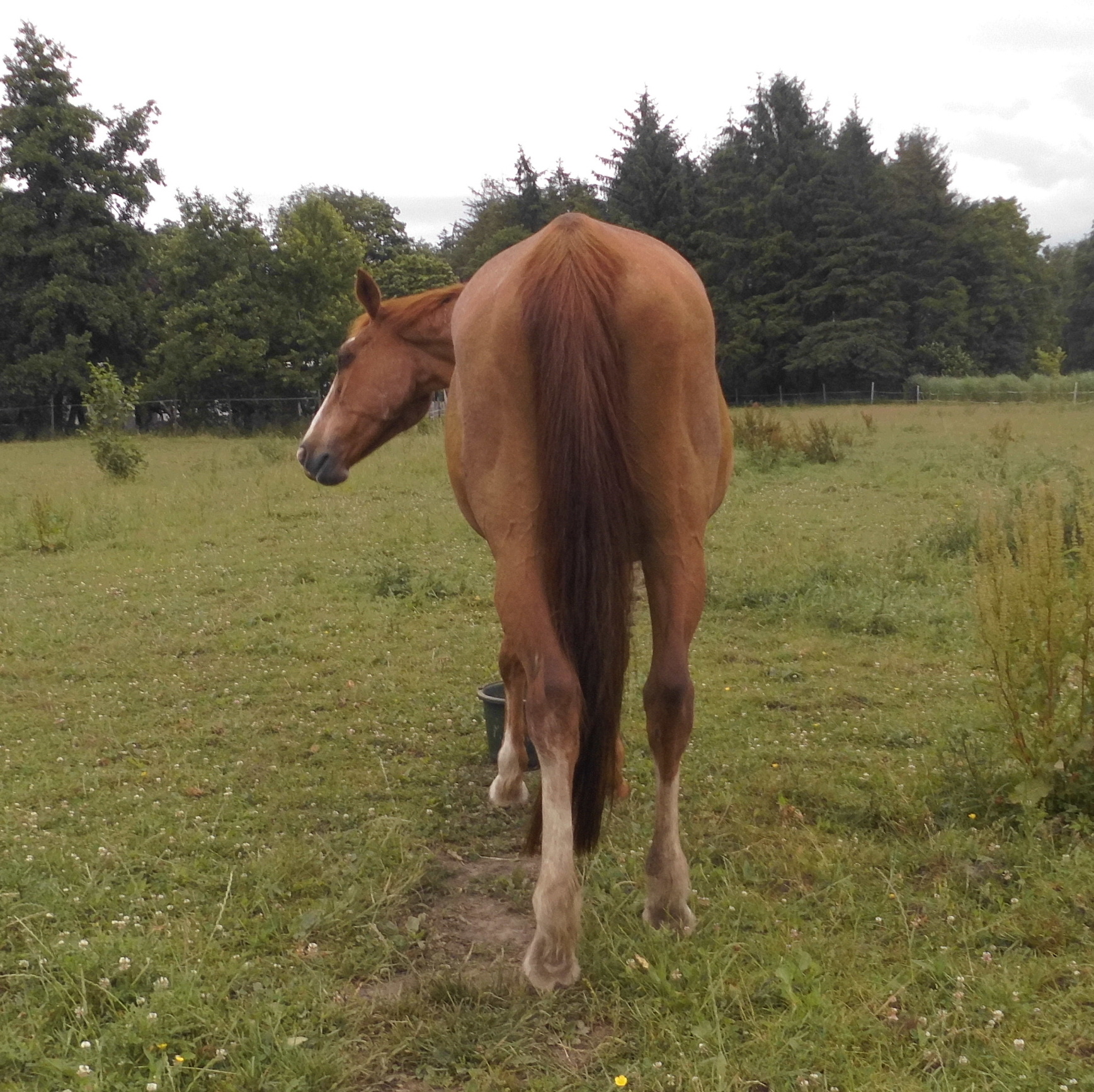 Miranda 28.06.2020 h