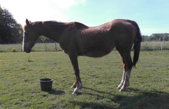 Miranda 31.05.2020 f