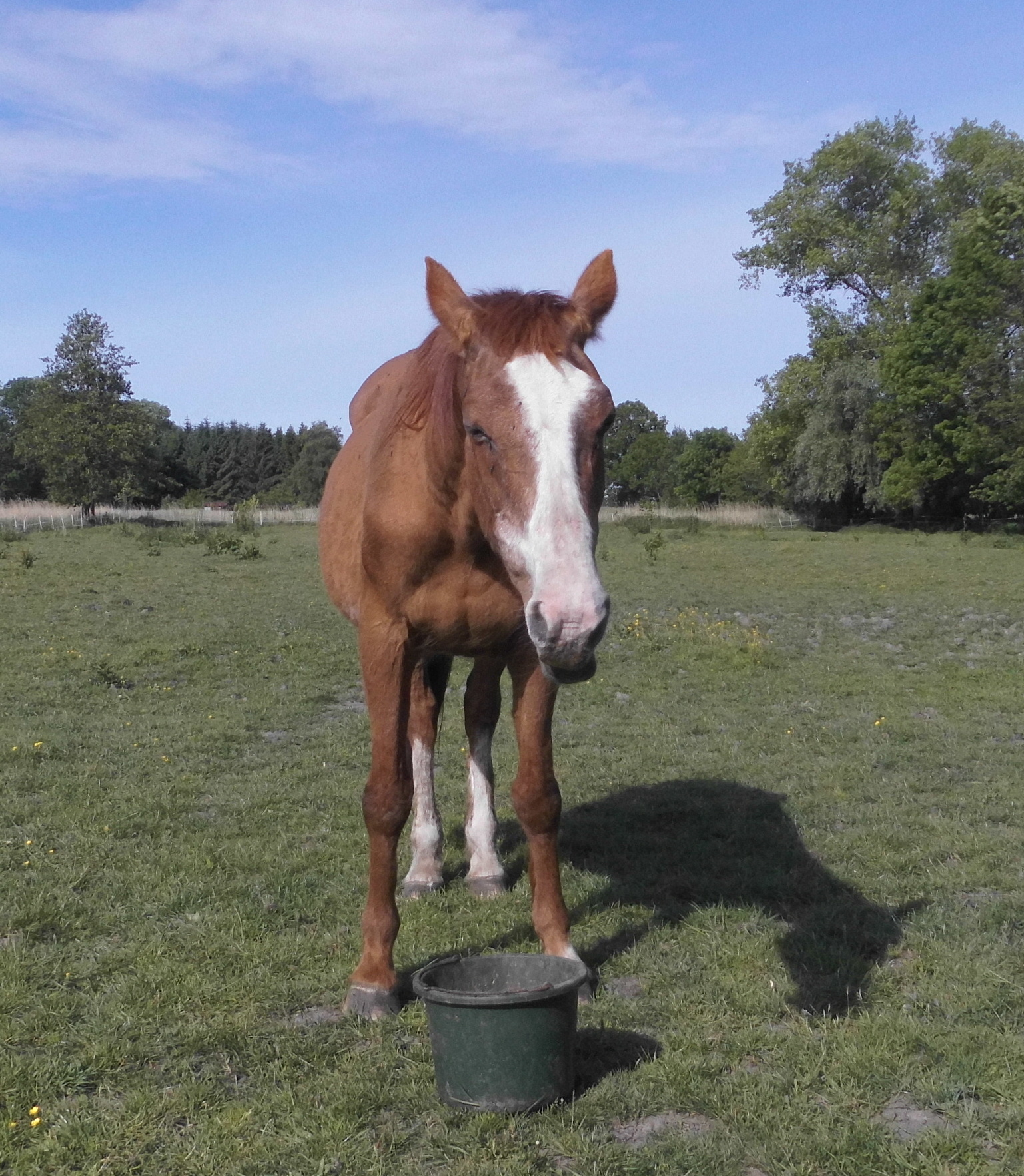 Miranda 31.05.2020 h