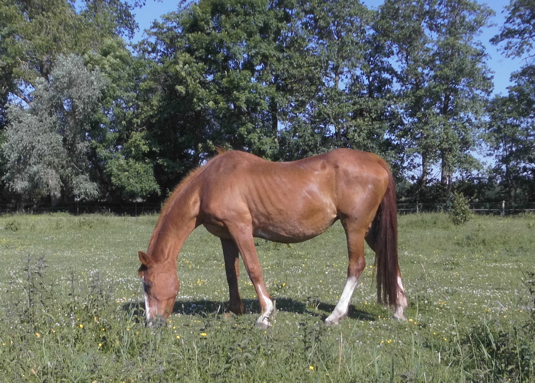 Miranda 15.06.2020 k