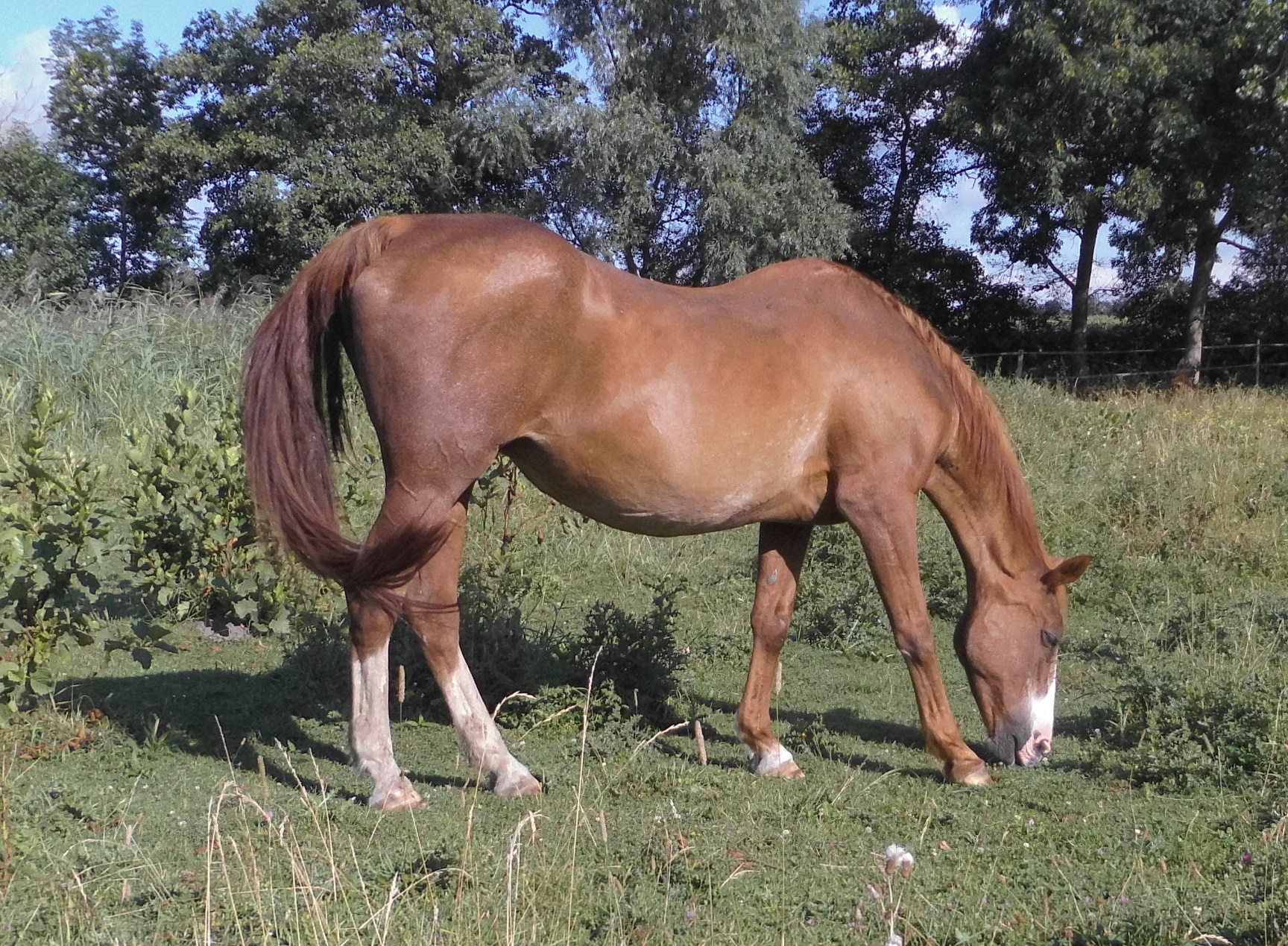 Miranda 19.08.2020 e