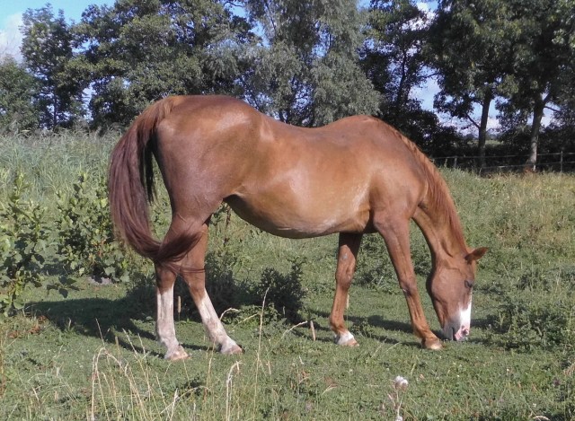 Miranda 19.08.2020 e