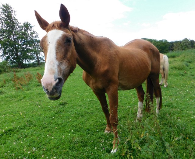 Miranda 27.07.2020 c