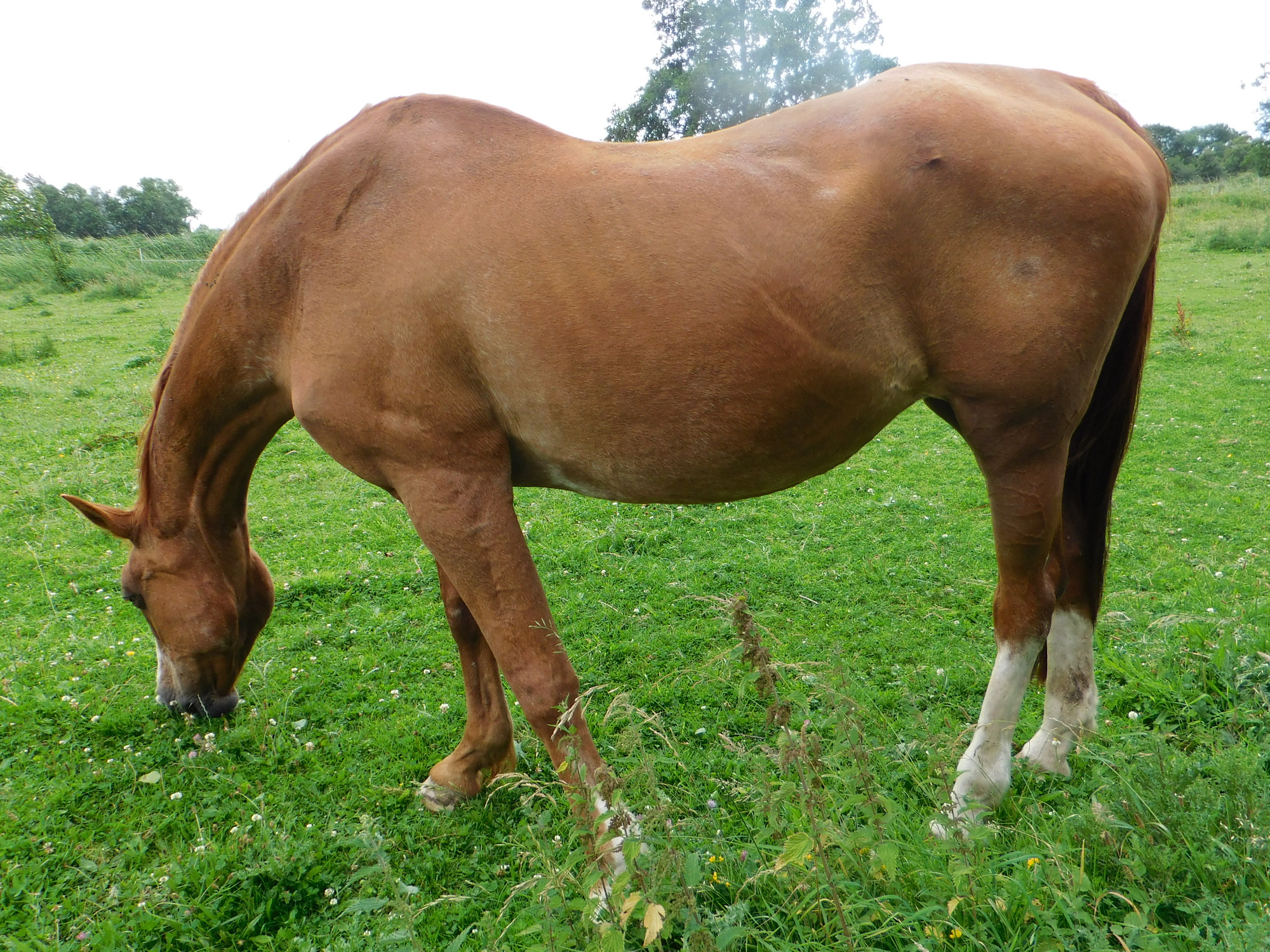 Miranda 27.07.2020 d