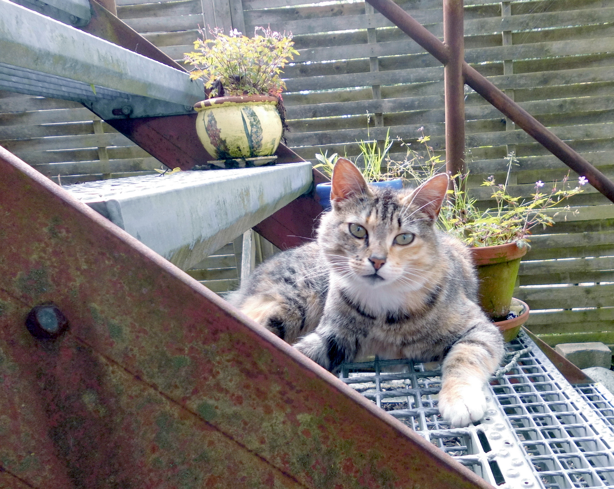 Moni Eisentreppe 12.06.2020 a