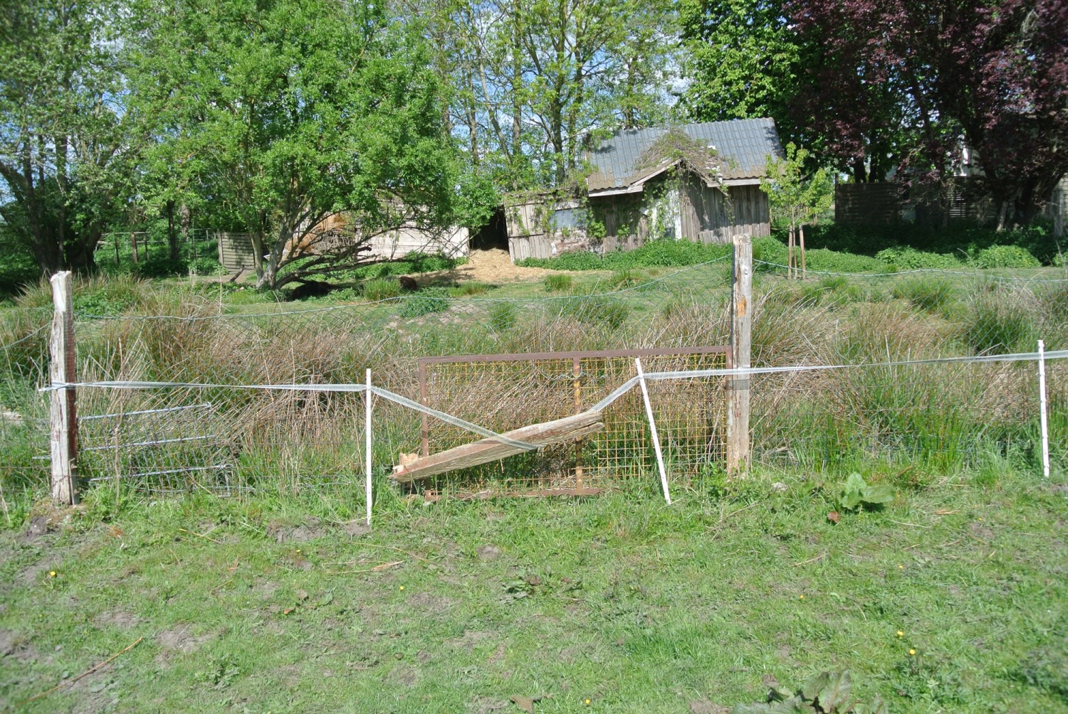 Landschaft mit einem beschädigten Zaun, einem grünen Feld und einem Holzgebäude im Hintergrund, umgeben von Bäumen.